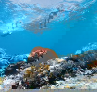 Capricorn Coast and Great Keppel Island Drive Itinerary - Accommodation in Surfers Paradise