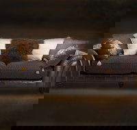 Cargo Lane - Accommodation in Surfers Paradise