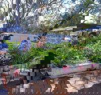 Fernvale Country Markets - Accommodation in Surfers Paradise