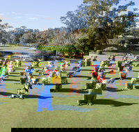 Hello Koalas Sculpture Trail - Accommodation in Surfers Paradise