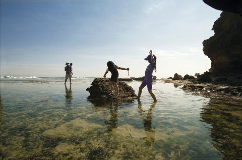 Mornington Peninsula National Park - Accommodation in Surfers Paradise 2