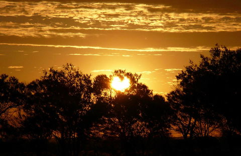 Paroo-Darling National Park - Accommodation in Surfers Paradise 0
