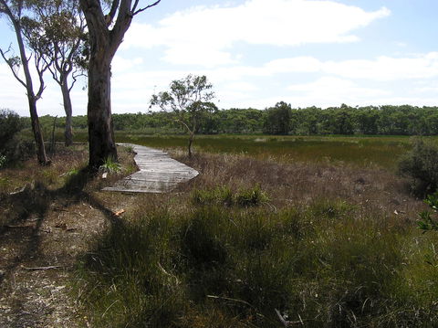 Penola Conservation Park - Accommodation in Surfers Paradise 0