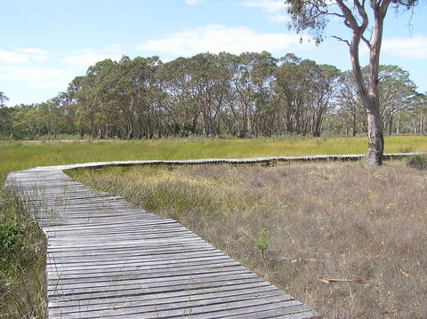 Penola Conservation Park - Accommodation in Surfers Paradise 1