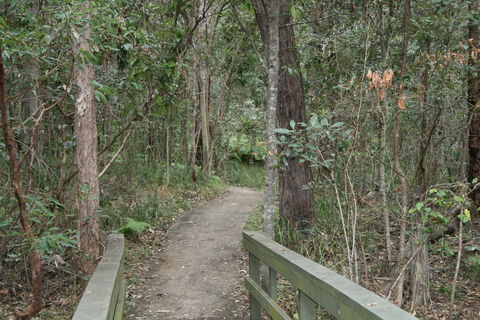 Springwood Conservation Park - Accommodation in Surfers Paradise 0