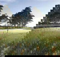 Twin Creeks Golf and Country Club - Accommodation in Surfers Paradise