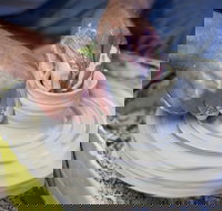 Womboota Artisan Pottery - Accommodation in Surfers Paradise