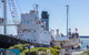 Albany's Historic Whaling Station - thumb 0