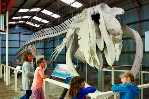 Albany's Historic Whaling Station - Accommodation in Surfers Paradise 2
