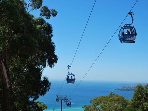 Arthurs Seat Eagle - Accommodation in Surfers Paradise 0