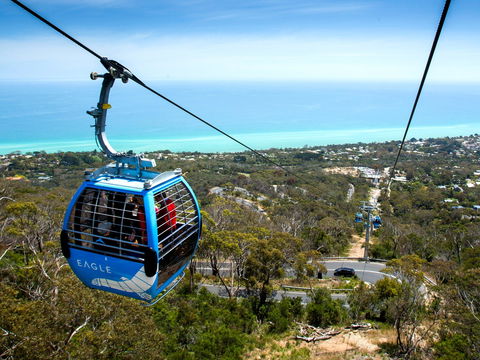 Arthurs Seat Eagle - Accommodation in Surfers Paradise 1
