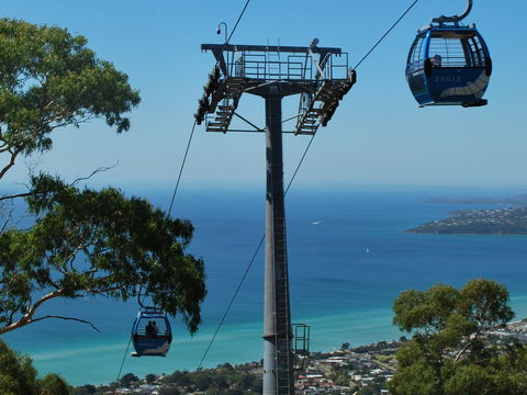 Arthurs Seat Eagle - Accommodation in Surfers Paradise 2