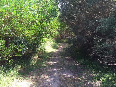 Bluff Track Fitness Trail - Accommodation in Surfers Paradise 2