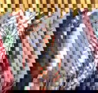 Bruce's Mensland - Accommodation in Surfers Paradise