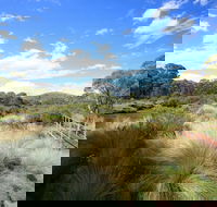 Bullocks walking track - Accommodation in Surfers Paradise