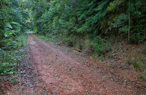 Cascade Mountain Bike Trail - Accommodation in Surfers Paradise 0