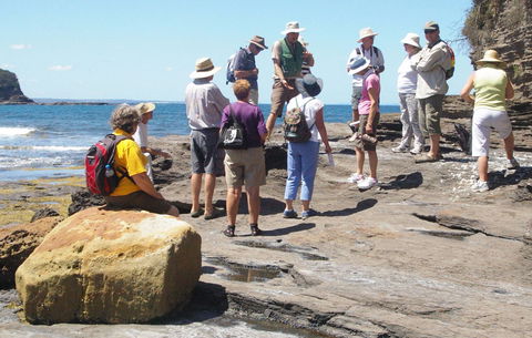 Gondwana Coast Fossil Walk - Accommodation in Surfers Paradise 0