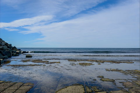 Gondwana Coast Fossil Walk - Accommodation in Surfers Paradise 1