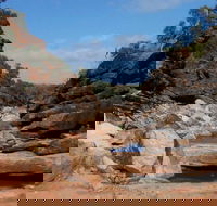 Homestead Gorge trail - Accommodation in Surfers Paradise