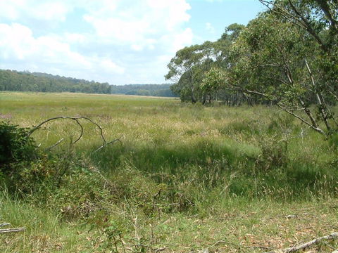Hume And Hovell Walking Track - Accommodation in Surfers Paradise 2