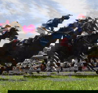 Moruya Racecourse - Accommodation in Surfers Paradise
