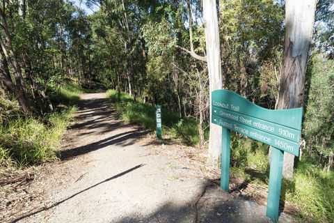 Mt Coot-tha Tourist Drive - Accommodation in Surfers Paradise 0