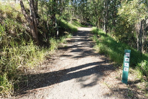 Mt Coot-tha Tourist Drive - Accommodation in Surfers Paradise 2