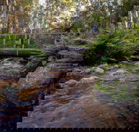 O'Neills Creek picnic reserve - Accommodation in Surfers Paradise