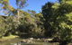 Pipers River Board Walk - thumb 0
