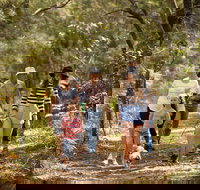 Russell Island Canaipa - Accommodation in Surfers Paradise