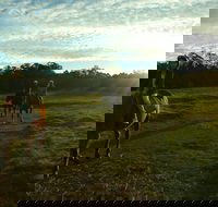 Scenic NSW Horse Riding Centre - Accommodation in Surfers Paradise