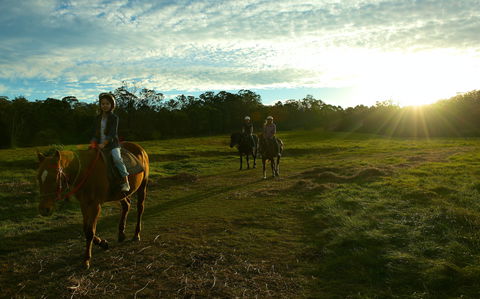 Scenic NSW Horse Riding Centre - Accommodation in Surfers Paradise 0