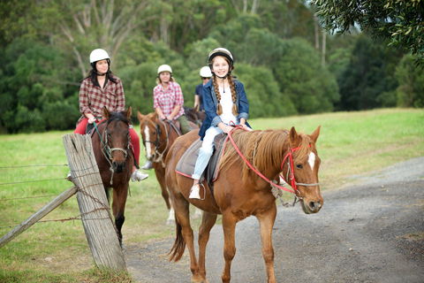 Scenic NSW Horse Riding Centre - Accommodation in Surfers Paradise 2