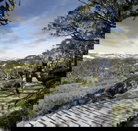 Snow Gums boardwalk - Accommodation in Surfers Paradise