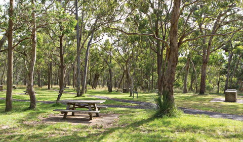Wollomombi Gorge And Falls Picnic Area - Accommodation in Surfers Paradise 0