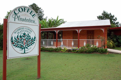 Wombah Coffee Plantation - Accommodation in Surfers Paradise 0