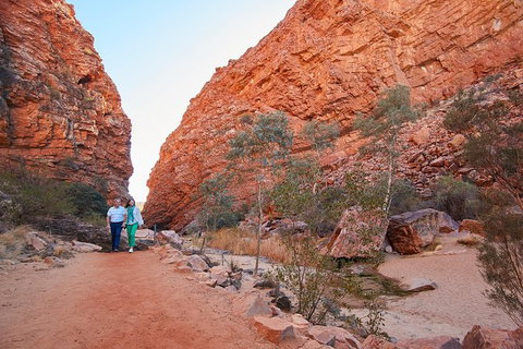 Best Of Alice Springs Full Day Tour - Accommodation in Surfers Paradise 2