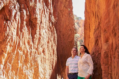 Best Of Alice Springs Full Day Tour - Accommodation in Surfers Paradise 4