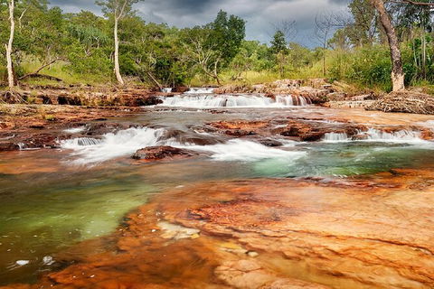 Full-Day Private Guided Tour To Litchfield National Park - Accommodation in Surfers Paradise 14