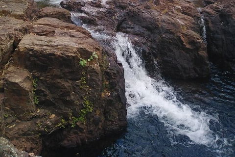 Full-Day Private Guided Tour To Litchfield National Park - Accommodation in Surfers Paradise 8