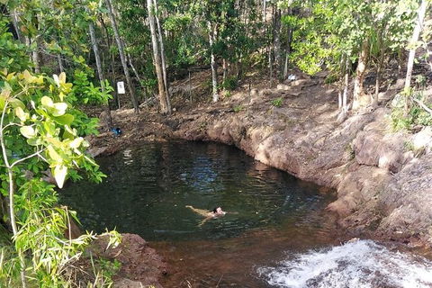 Full-Day Private Guided Tour To Litchfield National Park - Accommodation in Surfers Paradise 18