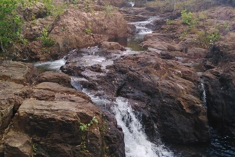 Full-Day Private Guided Tour To Litchfield National Park - Accommodation in Surfers Paradise 15