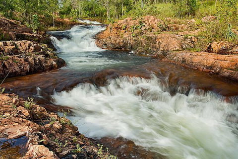 Full-Day Private Guided Tour To Litchfield National Park - Accommodation in Surfers Paradise 3