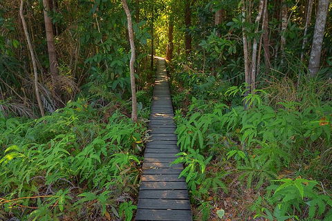Full-Day Private Guided Tour To Litchfield National Park - Accommodation in Surfers Paradise 7