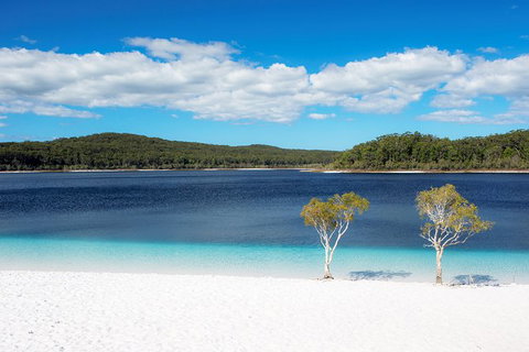 All-Inclusive Fraser Island Day Tour - Accommodation in Surfers Paradise 2