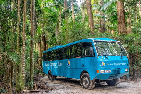 All-Inclusive Fraser Island Day Tour - Accommodation in Surfers Paradise 0