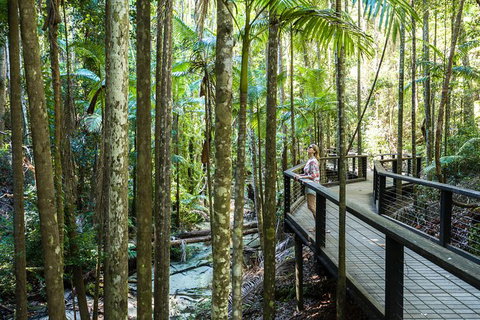 All-Inclusive Fraser Island Day Tour - Accommodation in Surfers Paradise 7