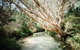All-Inclusive Fraser Island Day Tour - thumb 5