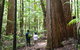 All-Inclusive Fraser Island Day Tour - thumb 6