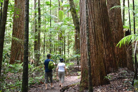 All-Inclusive Fraser Island Day Tour - Accommodation in Surfers Paradise 6